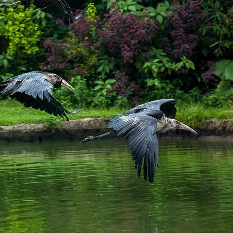 草长莺飞 第2页