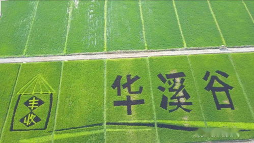 儿童邮局官方下载，全新探索版v7.592，为孩子打造的邮局乐园——整体讲解规划