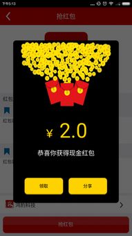 红包客官方下载，系统优化与管理的得力助手——动态说明解析VR_v3.769