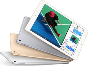 漫天飞舞 第2页