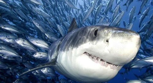 张灯挂彩 第2页