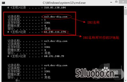 电脑网页版本实效性策略解析_尊贵款_v1.894，全面介绍与评测