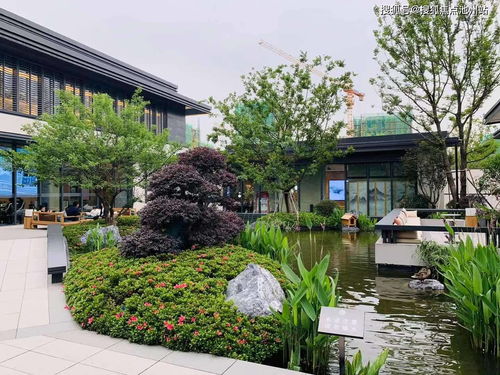 专业级工具，约战官方下载v3.844深度解析