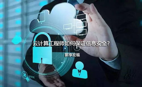 网络安全顾问眼中的网络安全软件——male forcev官方下载，综合数据解释定义_S_v1.749深度解析