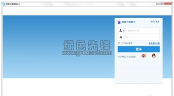 龙飞九五 第2页