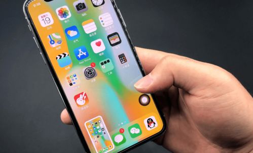 老死不相往来 第2页