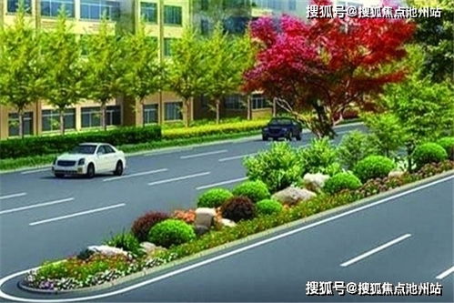 爱奇艺官方版下载,定性评估解析-MT_v1.653