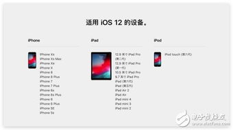 一毫不苟 第2页