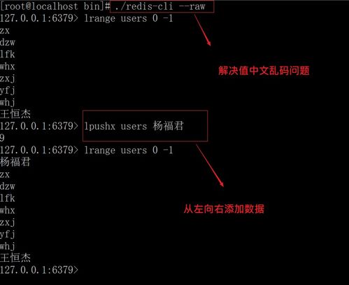 hook官方下载,实时数据解释定义&amp;挑战款1_v5.239