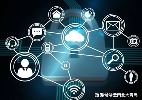 网络安全顾问深度解析，云图tv历史版本与最新安全软件v1.333