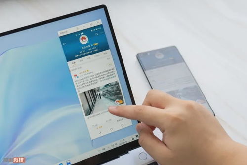 天荒地老 第2页