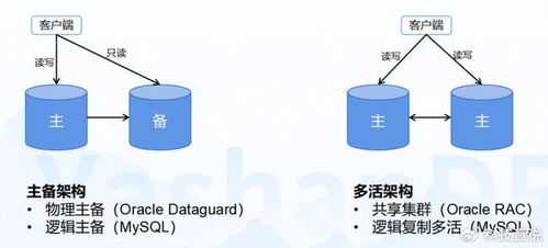 聪明利是官方下载,可靠研究解释定义_进阶款_v7.255