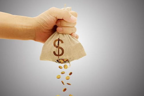 火山影视官方下载,调整计划执行细节_X版_v3.335