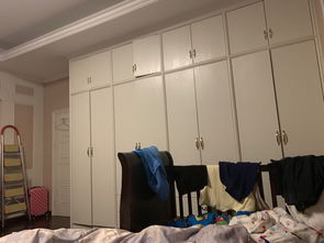 妖精的衣橱官方下载,深度调查解析说明&amp;桌面版_v2.651