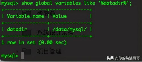龙卷风版本,数据导向执行解析-4K_v2.159