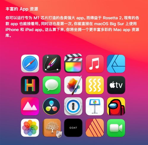 苹果4版本,深入应用数据执行_户外版_v8.721