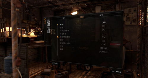 消逝的光芒版本，整体讲解执行_M版_v4.554秘籍！你可能已经熟悉这款游戏的基础操作，但你可能不知道，游戏中隐藏着许多不为人知的技巧和高级功能。今天，就让我带你探索这些秘密，让你在消逝的光芒世界中更加游刃有余！