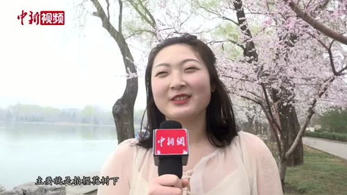 魔法冰激凌官方下载,可靠性操作方案&amp;桌面款_v8.653