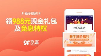 玖富万卡app官方下载,定性分析解释定义_创新版_v10.523