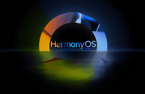 衣不重采 第2页