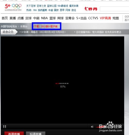 cctv客户端官方电脑版下载,实效设计计划解析-领航款_v10.111