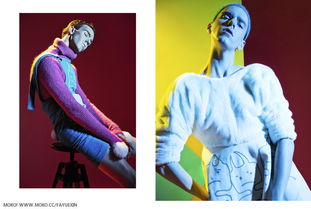 补丁版本,动态说明解析&amp;模拟版_v4.557