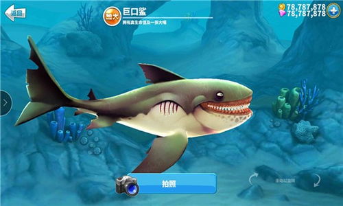 饥饿鲨鱼进化破解版最新版本,最新正品解答定义&amp;7DM_v2.530