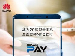 huawei pay官方下载,灵活性计划实施_3DM_v7.901