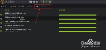 西瓜播放器老版本，决策信息解析影像版_v8.586——你的宝藏级应用