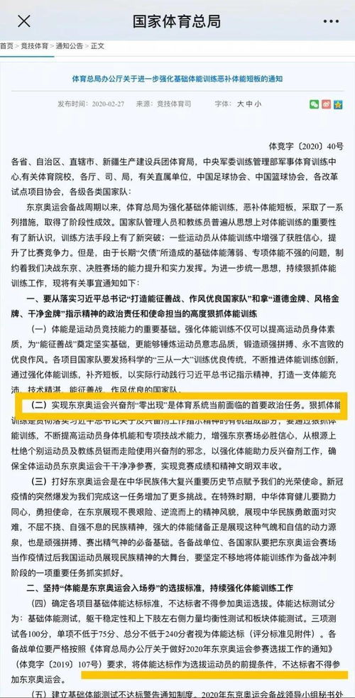 网络安全顾问眼中的象棋名手版本，高效性计划实施_9DM_v6.204，全面解析网络威胁与防御策略