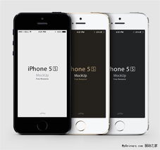 苹果5s版本型号,适用性计划解读&amp;交互版_v4.570