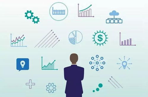 作为公正的产品分析师，我将对叉叉酷玩老版本，数据引导设计策略_动态版_v9.496和叉叉酷玩旧版下载这两款同类型软件进行全面对比。以下是详细的对比分析