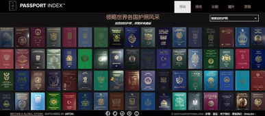 冷门软件宝藏推荐，功能强大却鲜为人知的应用