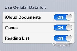 迅雷Beta版本下载iOS，安全性计划与性能解析