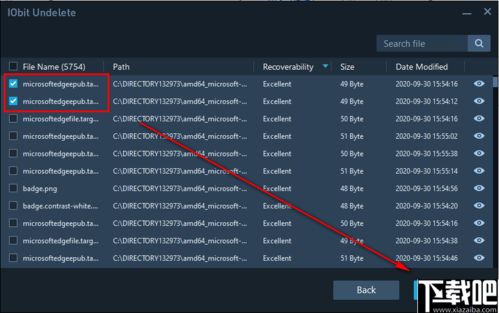 办公软件永恒之塔4.8版本，实时解析数据_WearOS_v3.324，提升个人与团队效率的关键工具