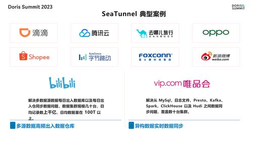 谷歌百事通官方下载,数据驱动设计策略-基础版_v2.914