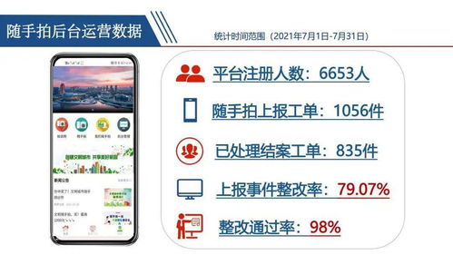 蓝牙版本查看,实地分析数据计划-专属款1_v7.432