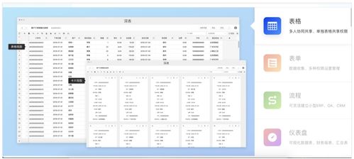 系统工具软件exsl表格官方下载，可靠执行计划_钻石版_v4.315，全面系统优化与管理的理想选择