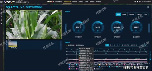 CF转换器官方下载，深度应用策略数据_影像版_v3.819，新手友好指南