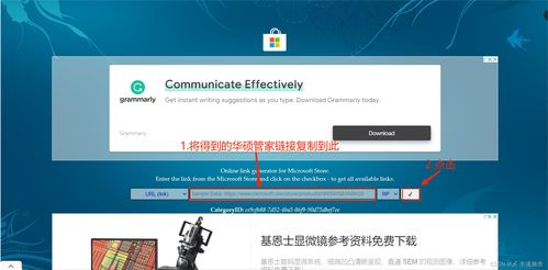 系统工具软件Fanbook下载官方下载，专业评估解析_Max_v9.564，全面优化您的系统体验