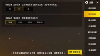 绝地求生激活码怎么用和梦幻单机版手机，专业执行问题视频版_v2.770的替代品优势解析