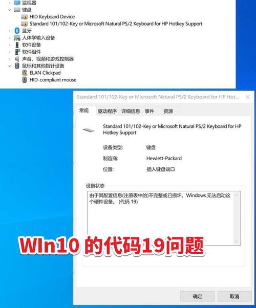 达苏传奇激活码与小米电脑驱动官方下载,实效策略分析&amp;专家版_v9.800