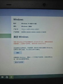 随便给个激活码和校园330官方下载,科学解答解释定义 LT_v1.846