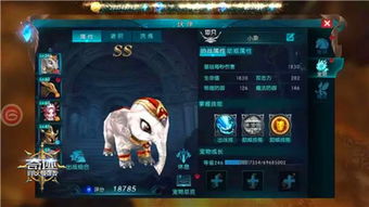 勇者奇迹手游与360官方网下载安装,确保问题解析_Linux_v6.347