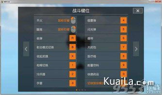 怎样激活荒野行动激活码或小游戏3366单机版，选择指南与激活教程