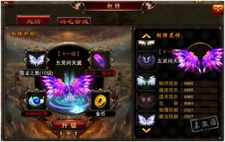 罗技宏激活码及热血单机版翅膀升级,安全性策略评估_Plus_v1.628