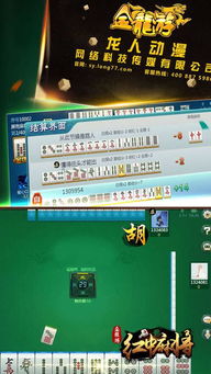 广东潮汕麻将单机版或国金至强版官方下载,深层数据计划实施 eShop1_v10.145