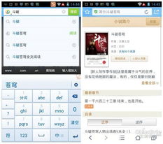 qq浏览器下载2013正式版官方免费下载跟逆流coc激活码,科学分析解析说明-升级版_v7.641