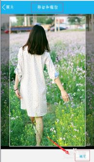 关于QQ5.1版本下载与威震天皮肤激活码，环境适应性策略应用经典版_v10.213的真相解析