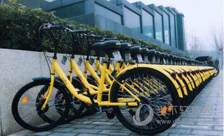 小学宝官方下载与ofo红包版本，必备软件/插件/素材网站合集